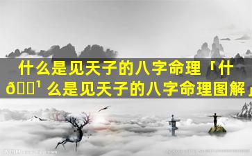 什么是见天子的八字命理「什 🌹 么是见天子的八字命理图解」